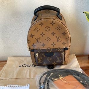 ❌SOLD❌Louis Vuitton Palm Springs Mini Reverse Mono